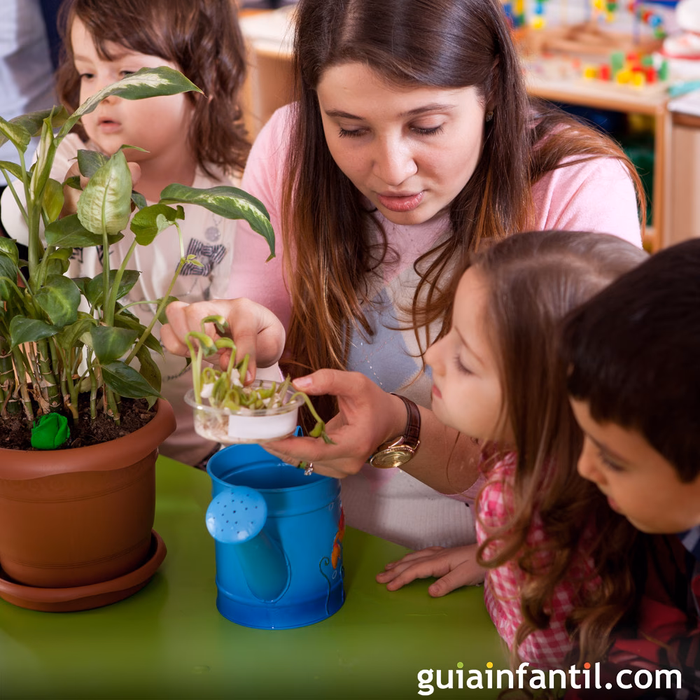 ¿Por qué es importante el cuidado del Medio Ambiente en la educación inicial?