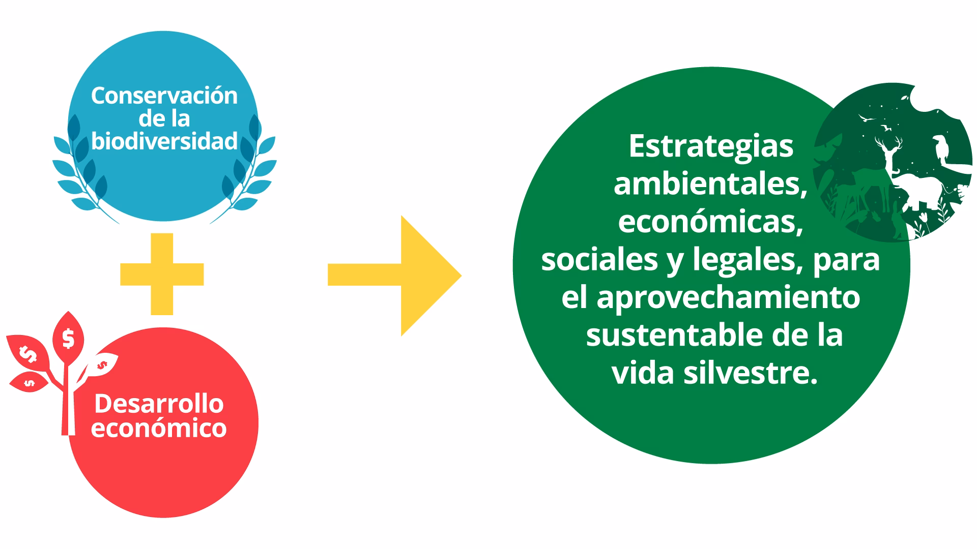¿Cuáles son las normas técnicas para el aprovechamiento de la fauna silvestre?
