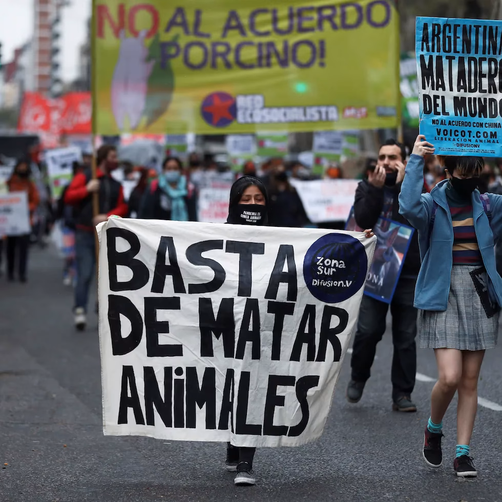 ¿Cuáles son los impactos de la crisis climática en Argentina?
