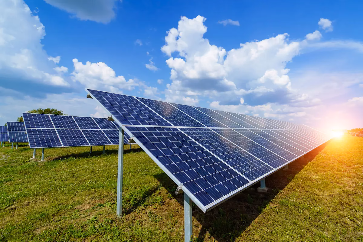 ¿Cuál es el consumo de energía eléctrica en Argentina?