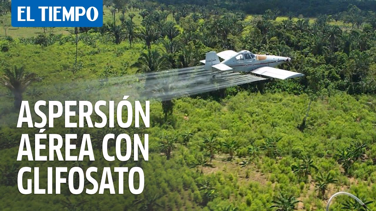 ¿Cómo afecta el glifosato a los árboles?