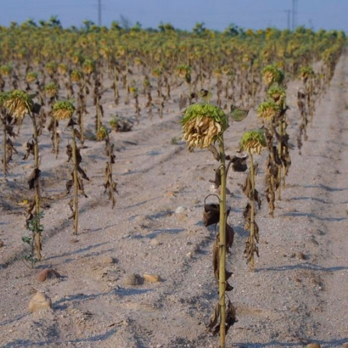 ¿Qué pasa con la economía de Armenia?