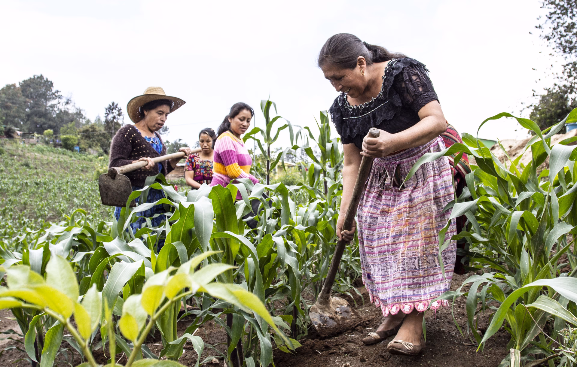 ¿Qué pasa con la economía de Armenia?