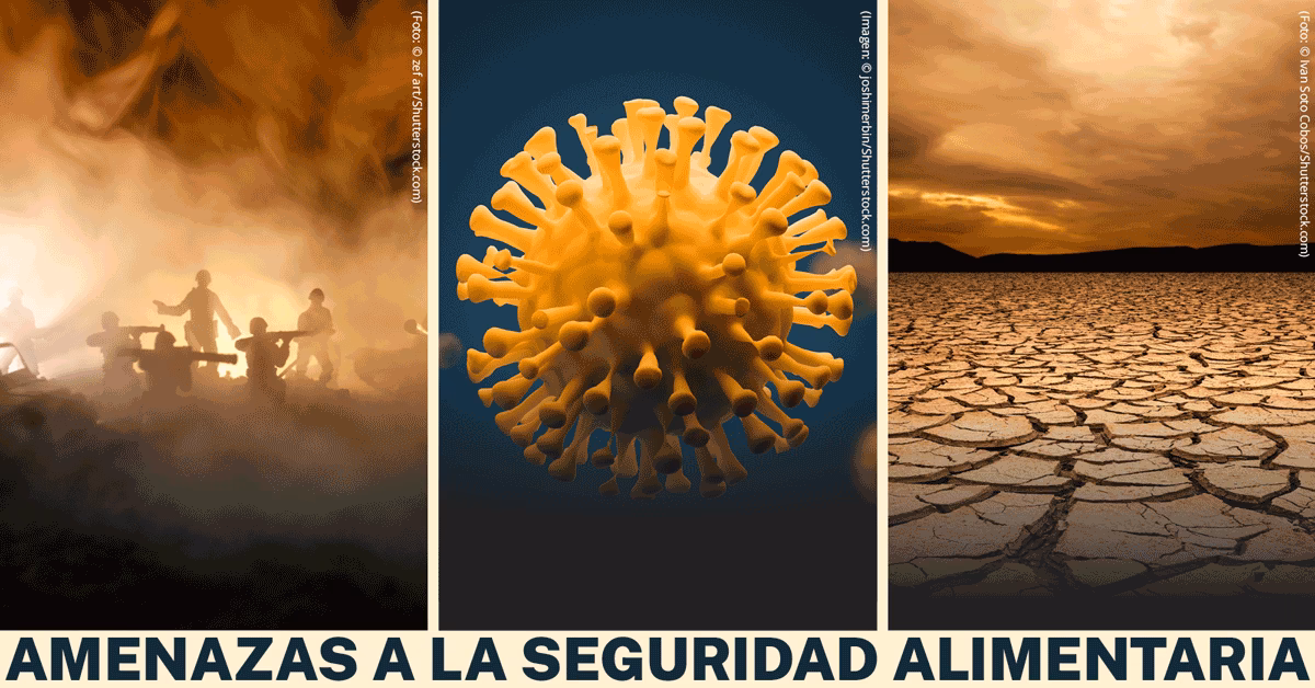 ¿Cómo acabar con la crisis alimentaria en Ucrania?