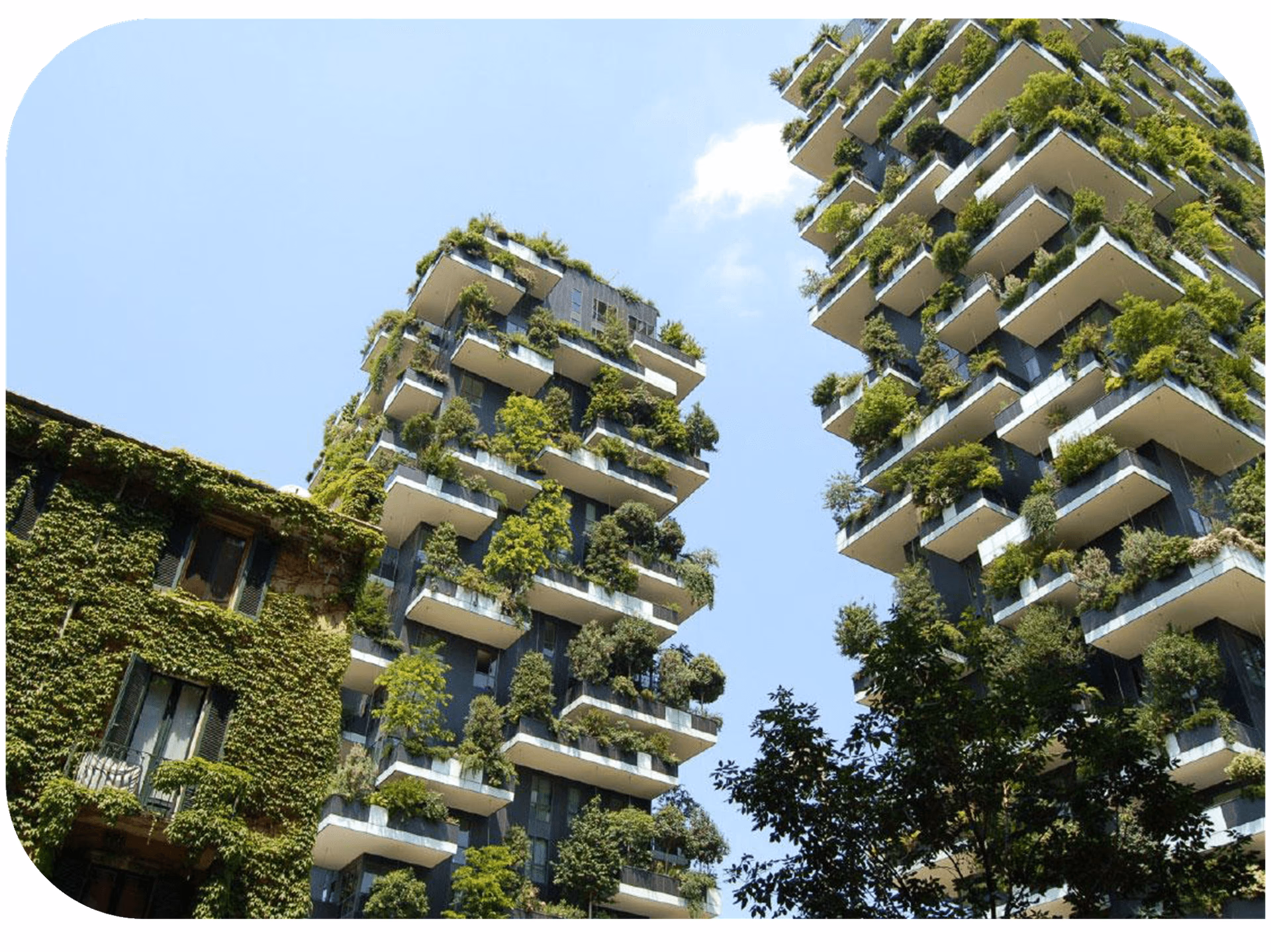 ¿Cómo afecta el diseño de un edificio al medio ambiente?