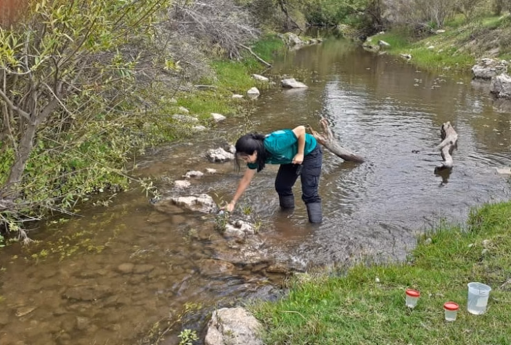 ¿Qué es el diagnóstico ambiental del proyecto?