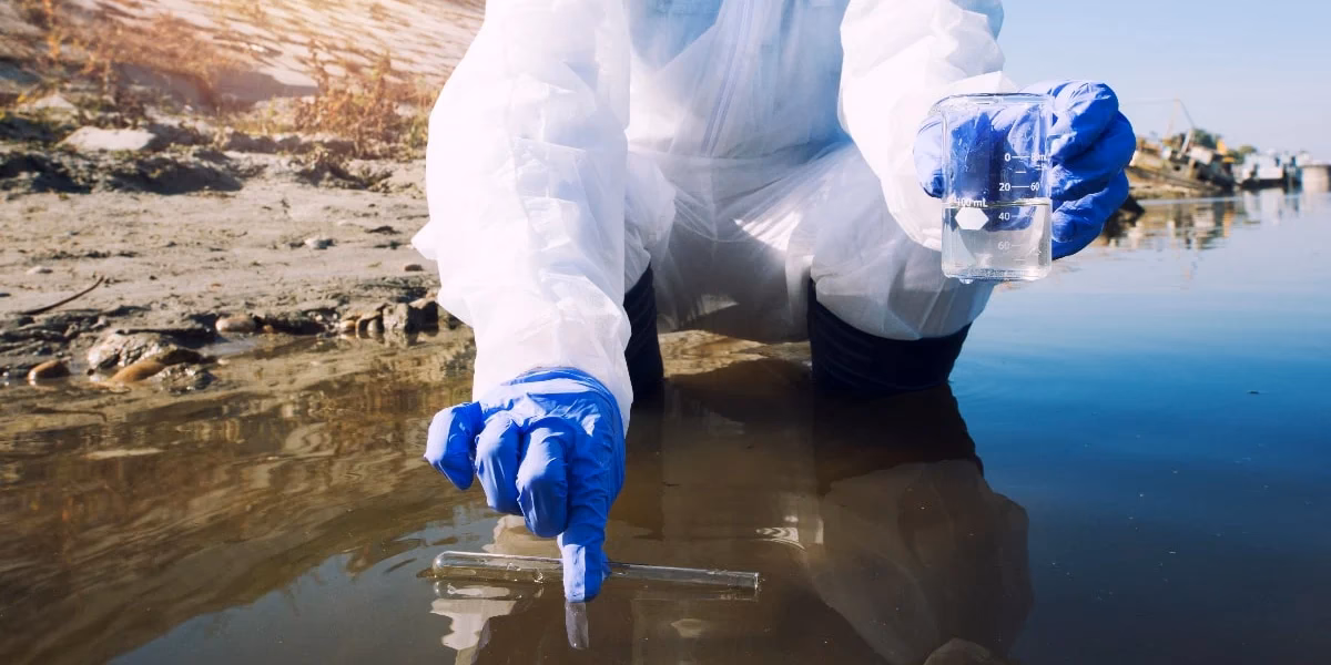 ¿Dónde se encuentra el arsénico?