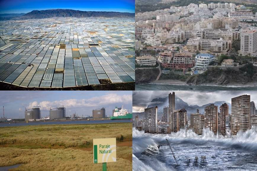 ¿Cómo afecta la luz artificial al medio ambiente?