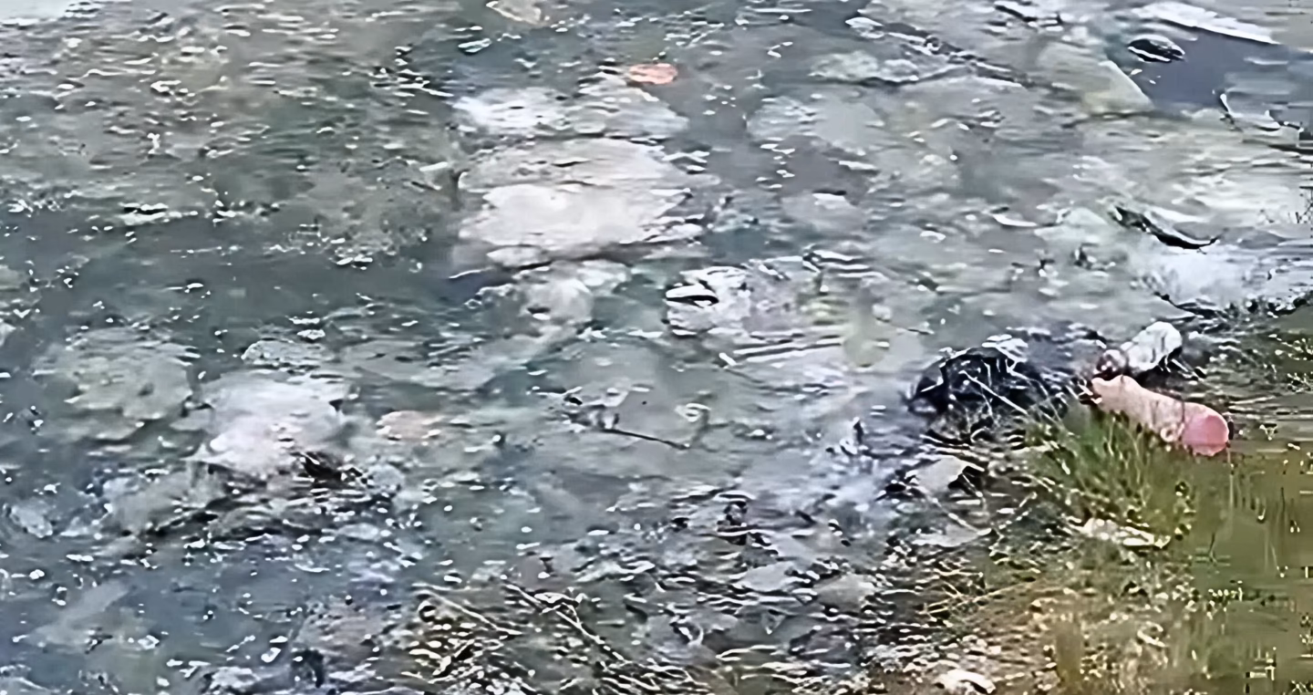 ¿Cómo afecta la contaminación a las arcas públicas?