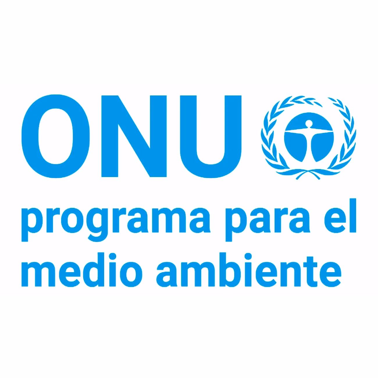 ¿Por qué la ONU debe respaldar el derecho a un medio ambiente sano?