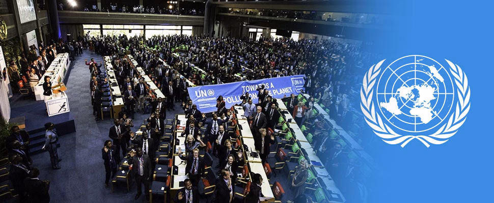 ¿Qué es la Asamblea de las Naciones Unidas sobre el medio ambiente?