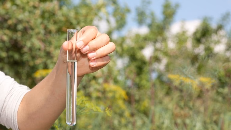 ¿Cuánto cuesta un asesoramiento medioambiental?
