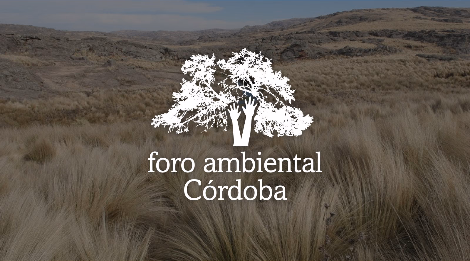 ¿Cuál es la situación ambiental de los centros de Córdoba?
