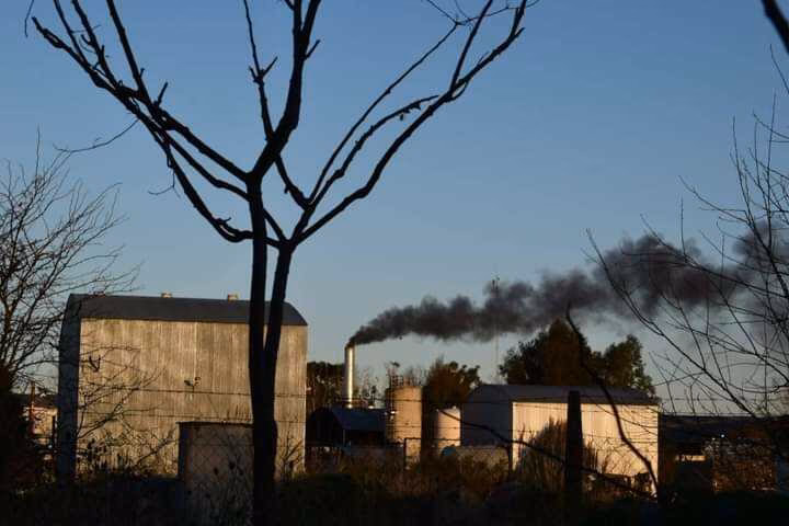 ¿Cómo afecta la contaminación acústica al bienestar emocional de los miembros de la comunidad?