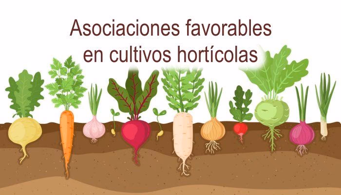 ¿Qué es el Reglamento sobre agricultura orgánica?