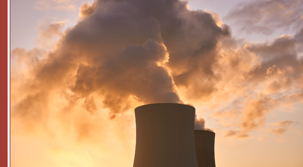 ¿Cuáles son los diferentes tipos de contaminantes?