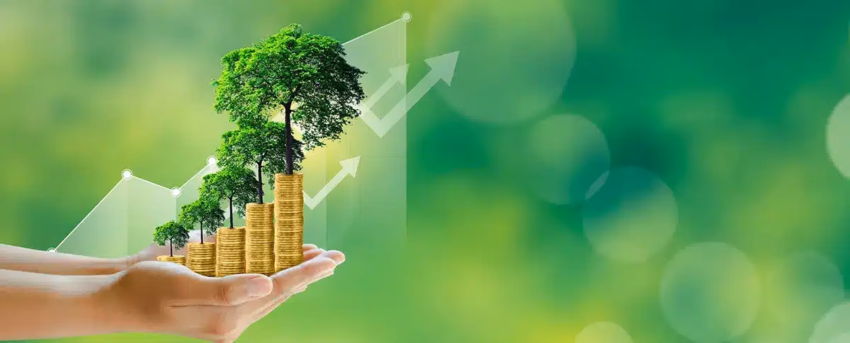 ¿Cuál es el requisito para auditar los informes de sostenibilidad?