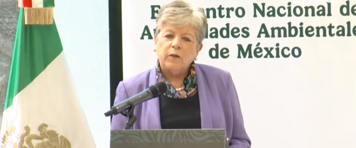 ¿Cuál es la función de la secretaria del Medio Ambiente?