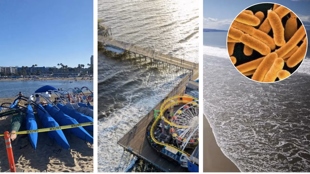 ¿Dónde puedo ver Avalon?