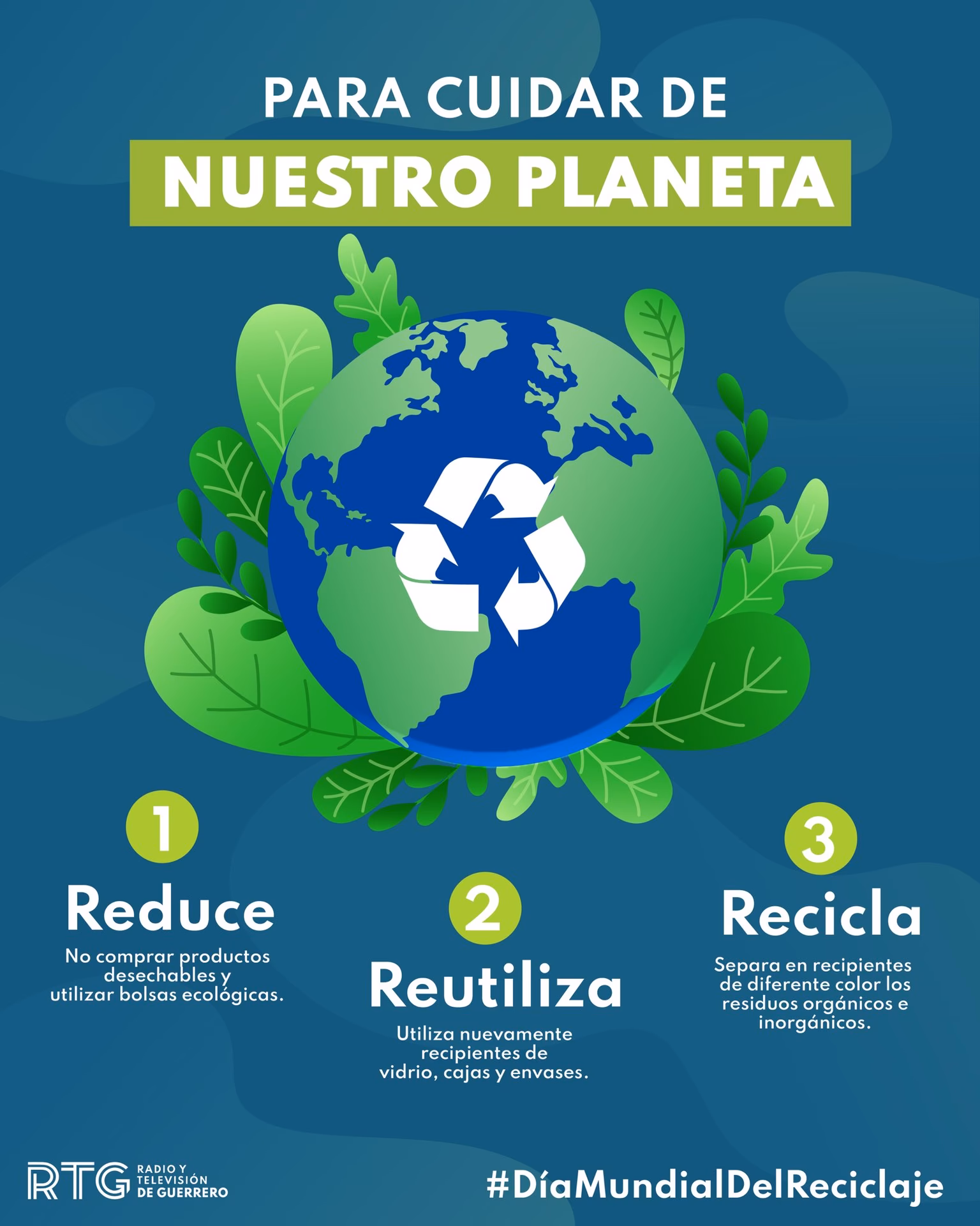 ¿Cuáles son las autoridades ambientales que pueden reportar avistamientos?