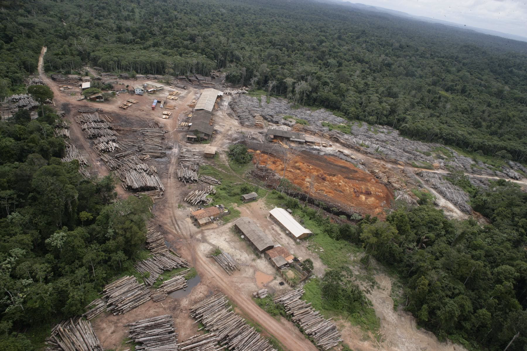 What threatens the Awá tribe?