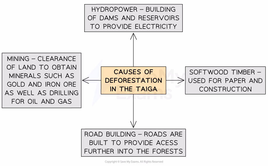 Why is deforestation a problem in Southeast Asia?