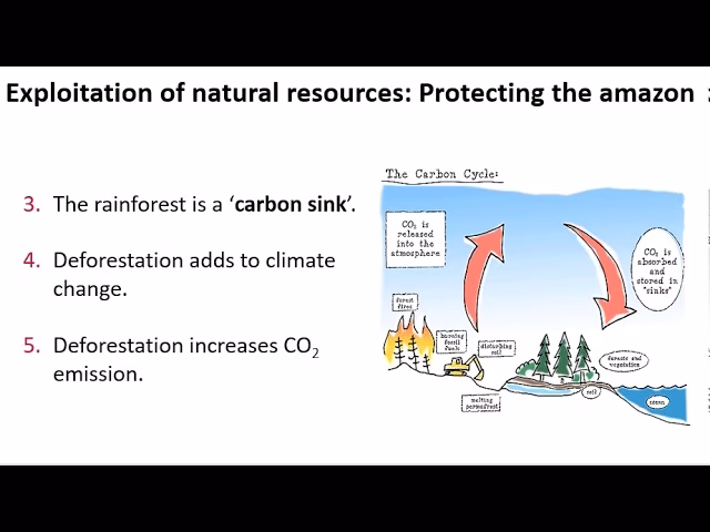 Why is deforestation a problem in Southeast Asia?