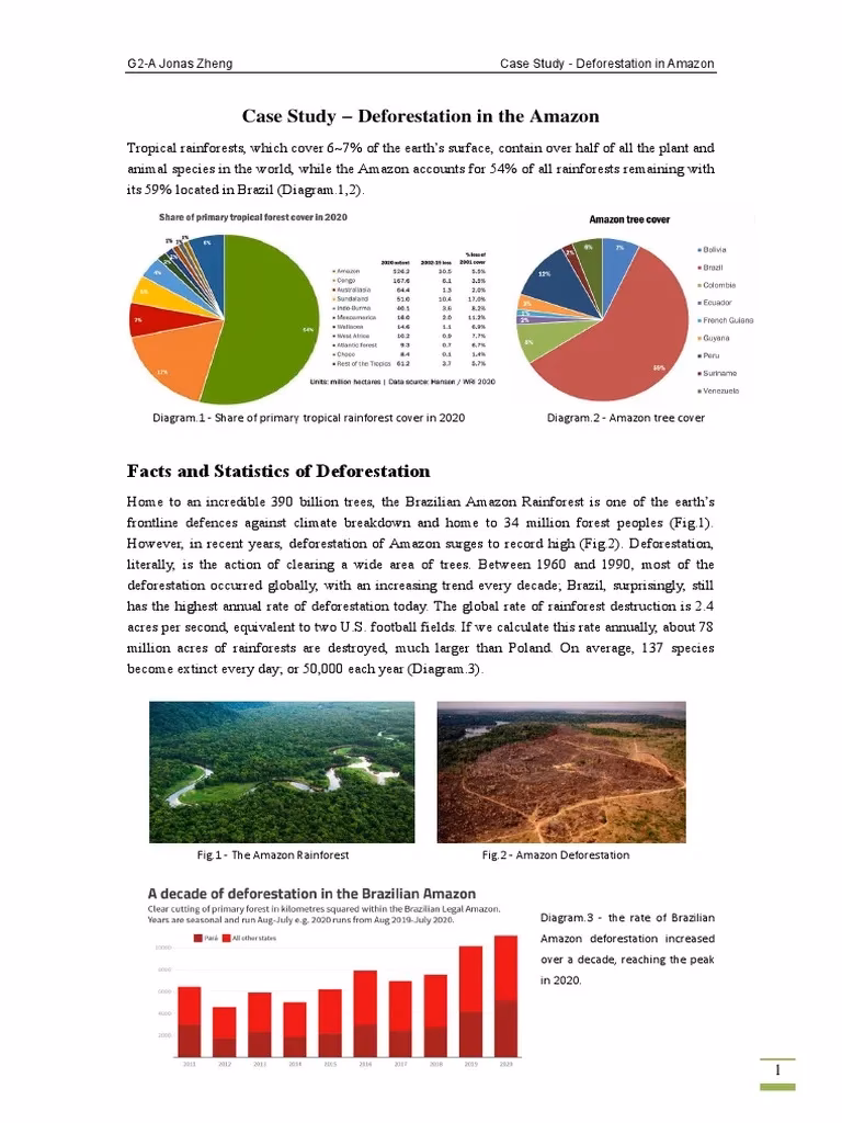 How does deforestation affect the taiga?