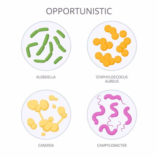¿Cuáles son los patógenos oportunistas?