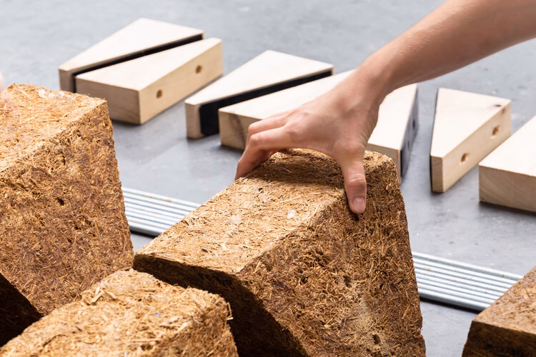 ¿Qué retos deben superarse para la utilización del bagazo como materia prima?