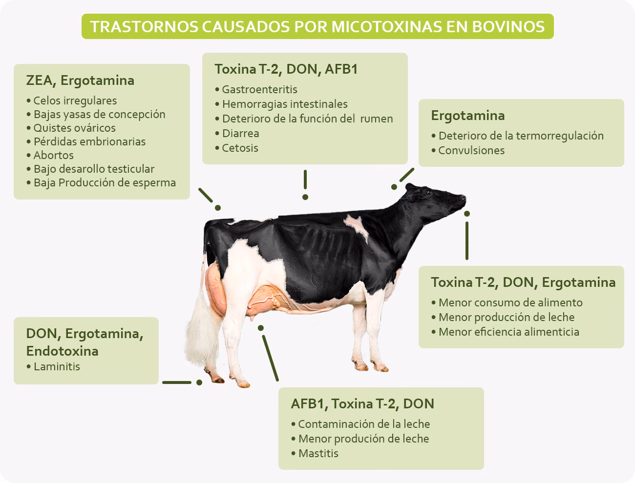 ¿Cuáles son las causas de las intoxicaciones en los bovinos?