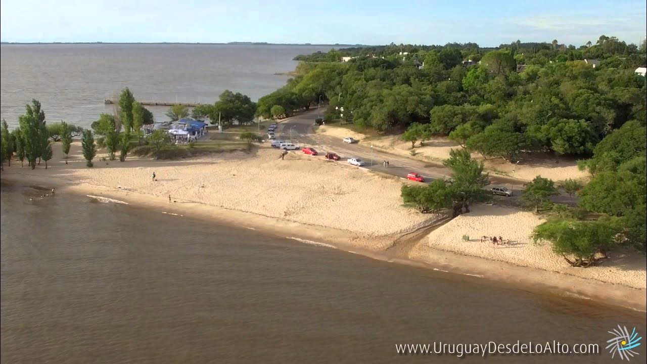 ¿Cuál es la carga más contaminante del río las cañas?