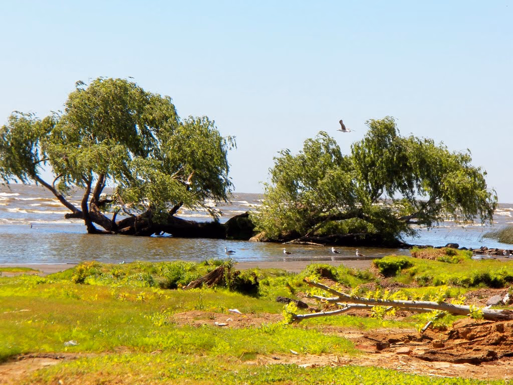 ¿Cómo se accede a la Playa Balneario Municipal de Berisso?