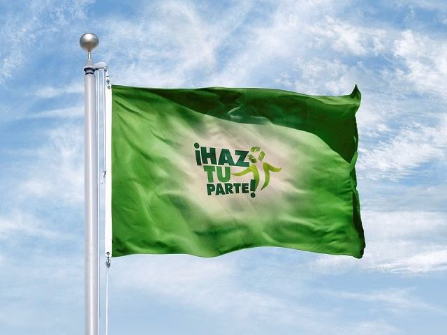 ¿Cómo se diferencian las banderas por los colores?