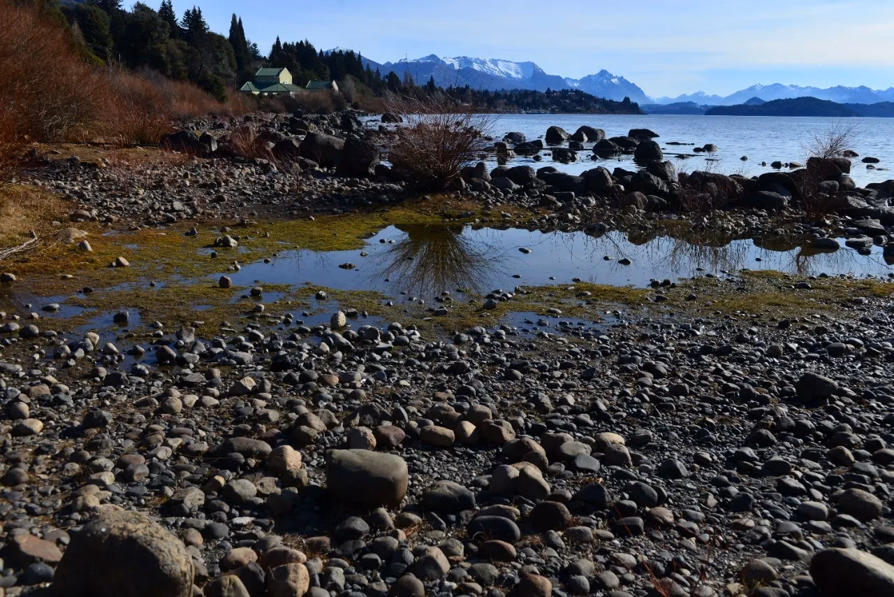 ¿Cómo afecta la radiación a la contaminación biótica?