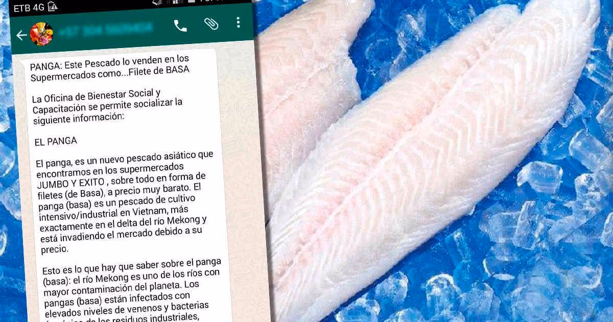 ¿Cuáles son los riesgos del pescado Basa?