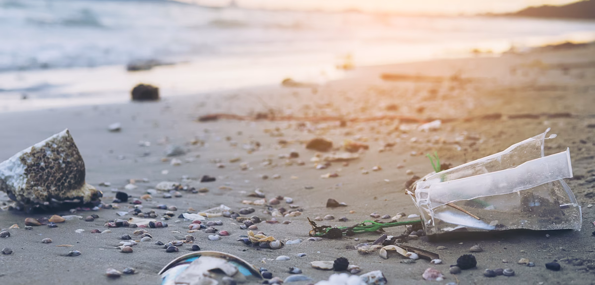 ¿Cómo afecta la basura a los recursos naturales?