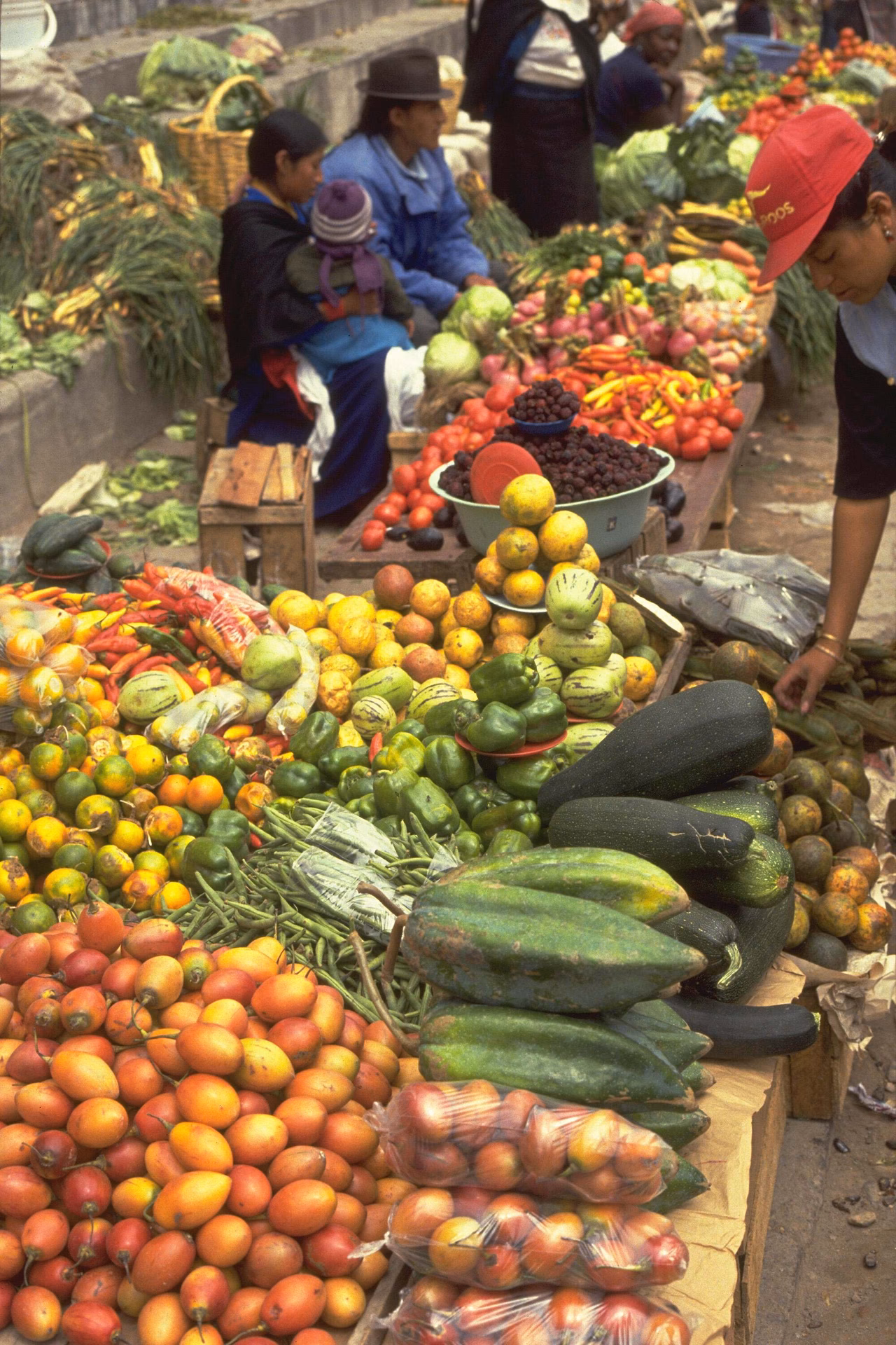 ¿Cuáles son los beneficios de reciclar la basura orgánica?