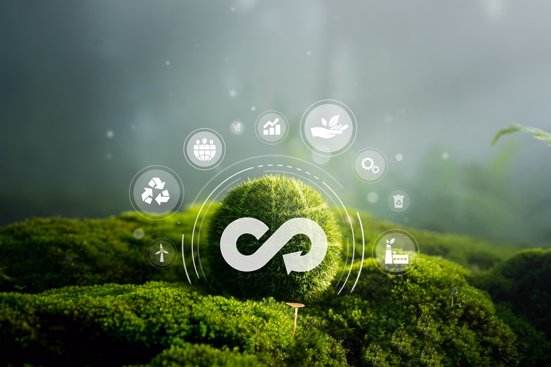 ¿Cuáles son las medidas adoptadas por BBVA para promover la economía circular?