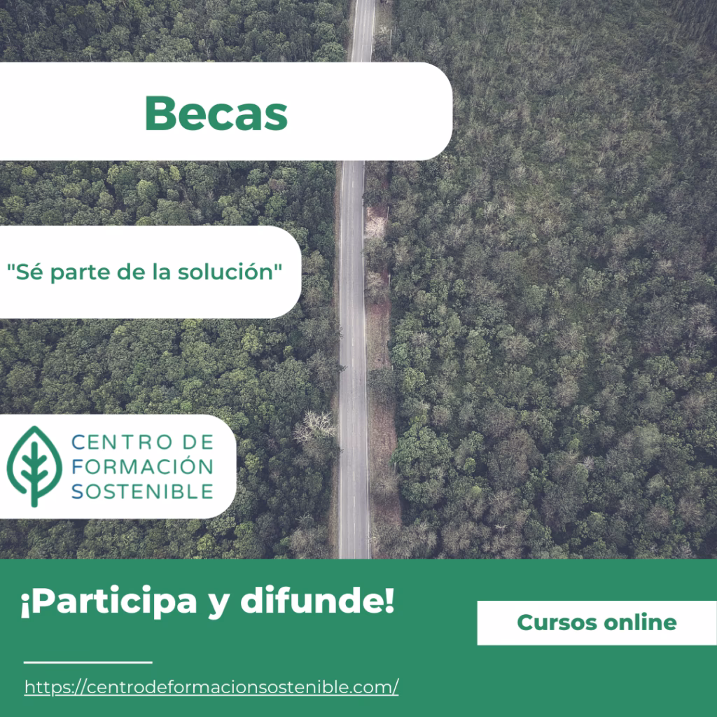¿Puedo solicitar una beca para más de un curso?