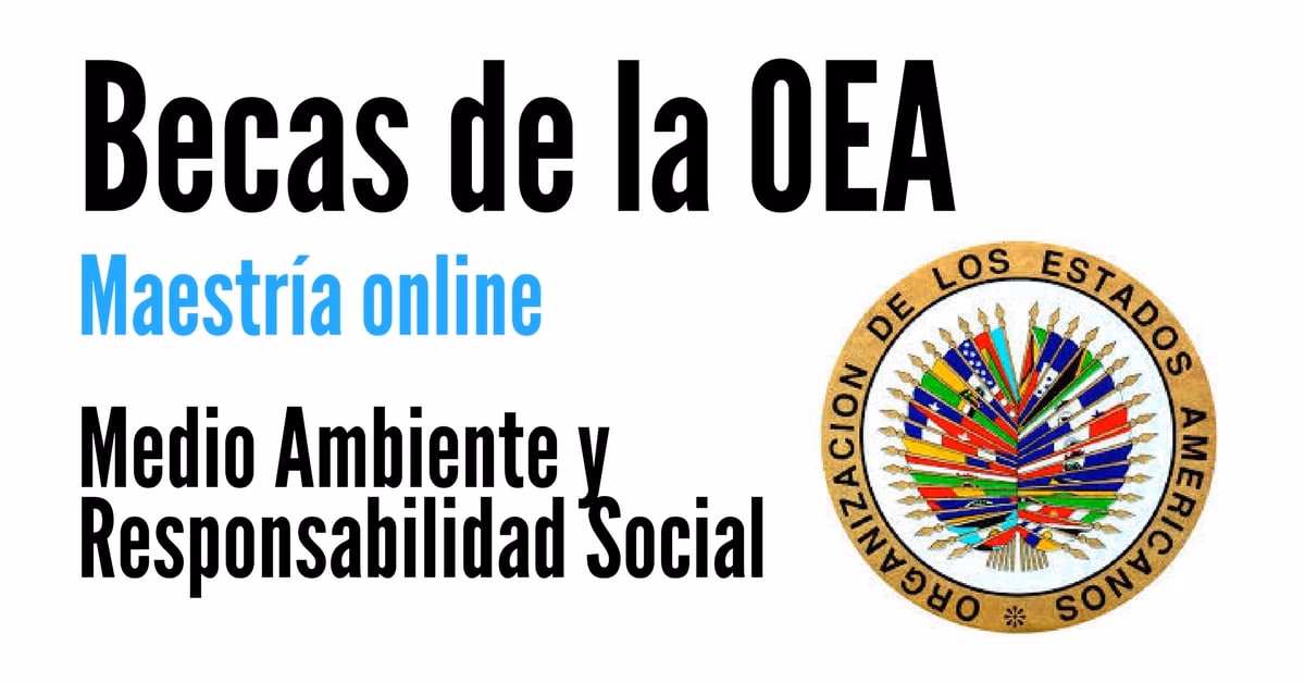¿Cuáles son los requisitos para obtener becas de la OEA?