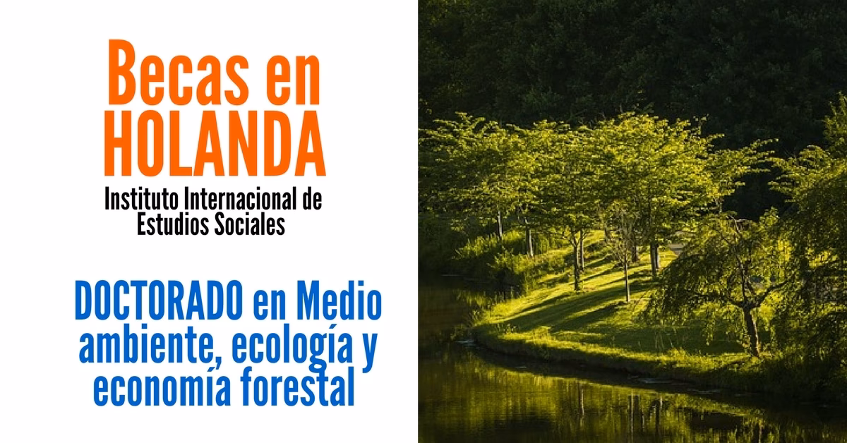 ¿Dónde puedo aplicar las becas para estancias de investigación postdoctorales?