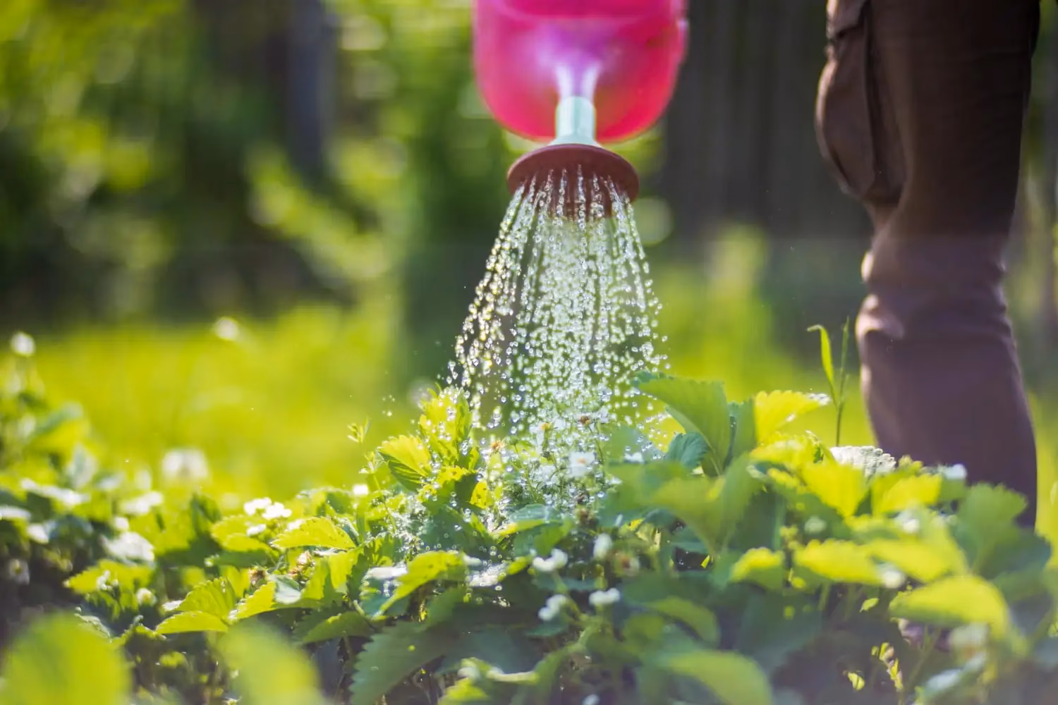 ¿Cómo se elimina el vanadio?