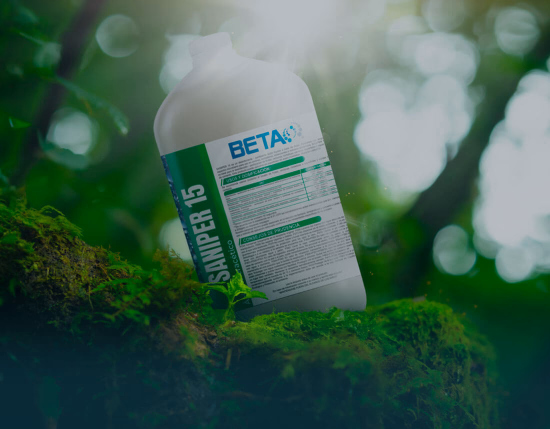 ¿Qué es la empresa ambiental?