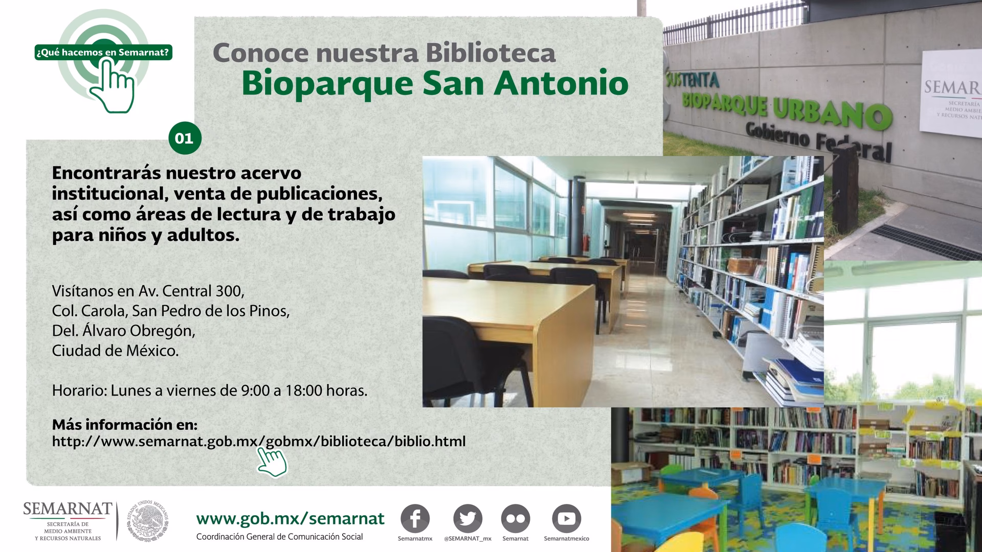 ¿Qué ofrece la Secretaría de Medio Ambiente y Recursos Naturales?