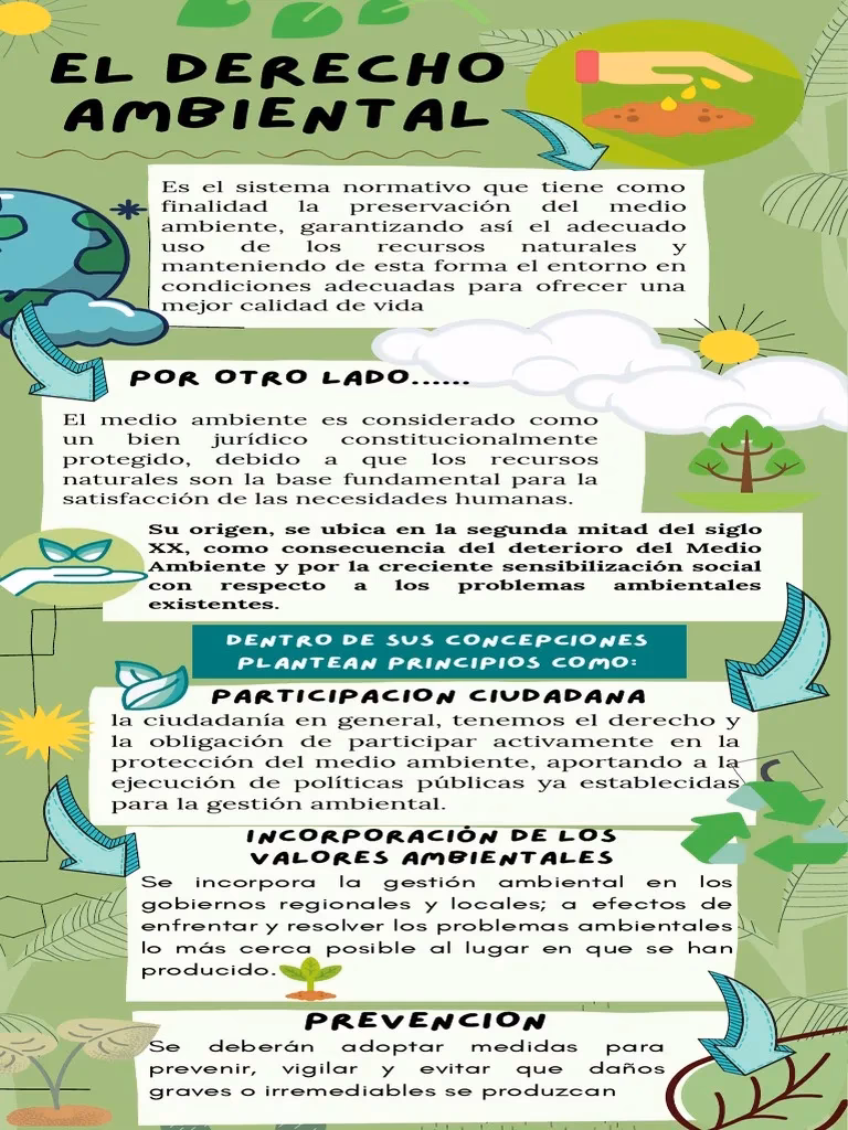 ¿Cómo ha logrado nuestro país la reglamentación del derecho al ambiente sano?