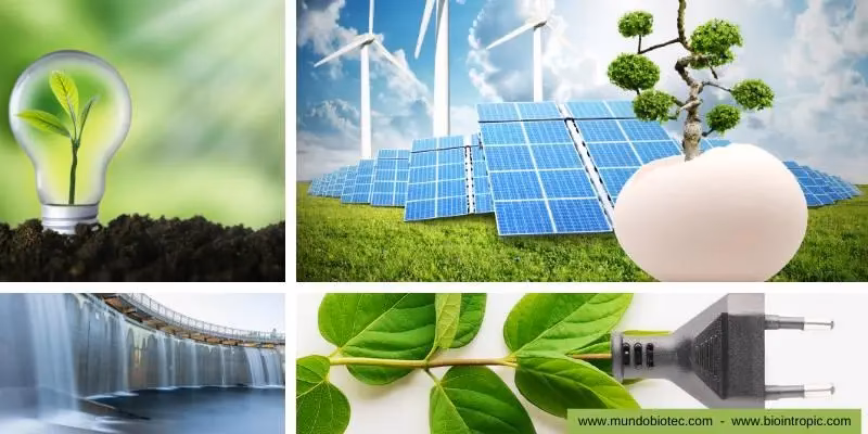 ¿Cuáles son los beneficios de la bioenergía?