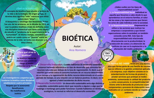 ¿Cuáles son los principios de la bioética ambiental?