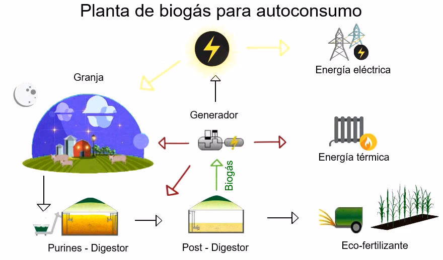 ¿Cuál es la importancia del biogás?