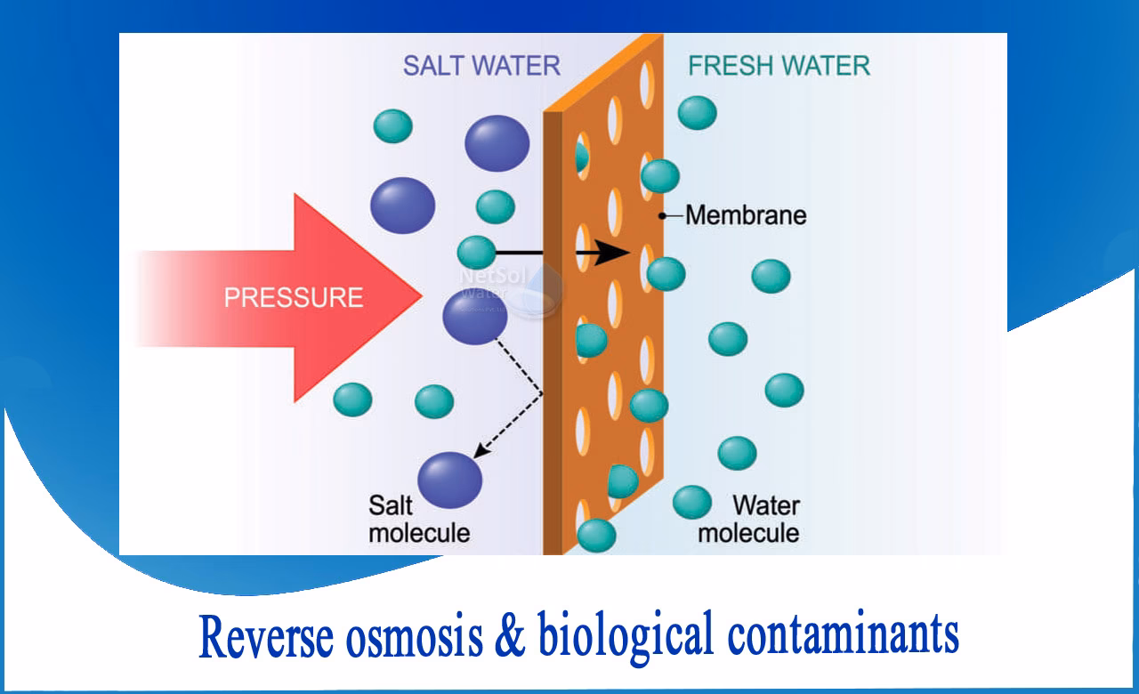 What is a contaminant in water?